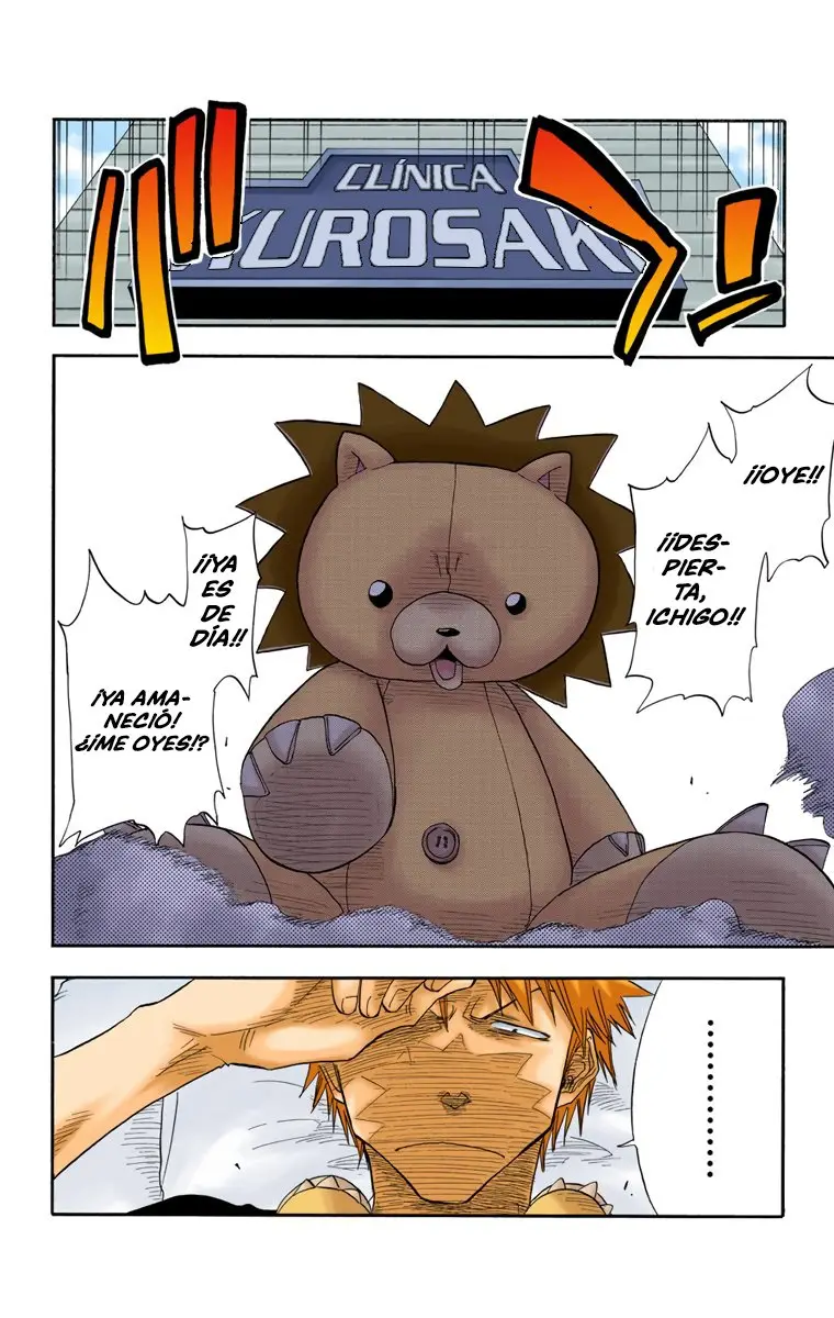 Bleach (Color) capítulo 17, página 9
