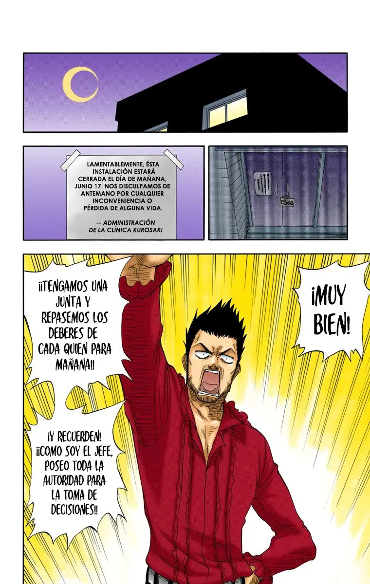 Bleach (Color) capítulo 17, página 21