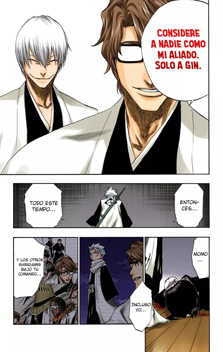Bleach (Color) capítulo 170, página 13