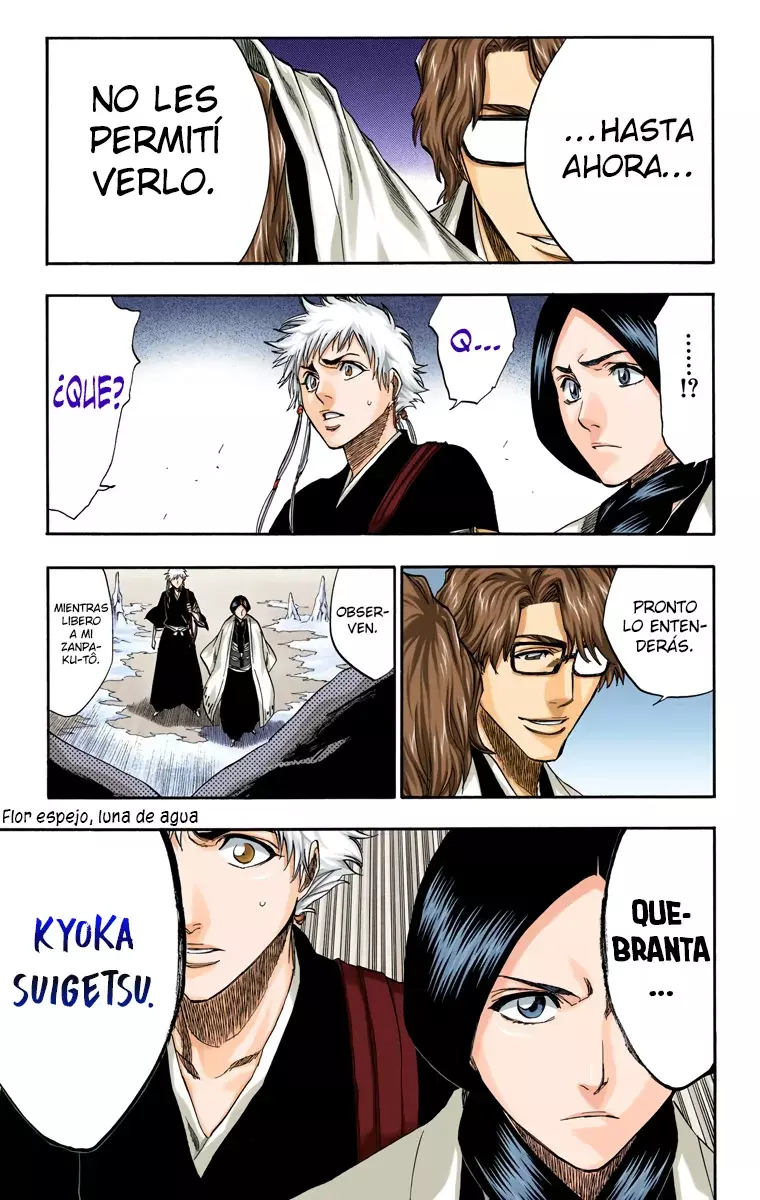 Bleach (Color) capítulo 171, página 10