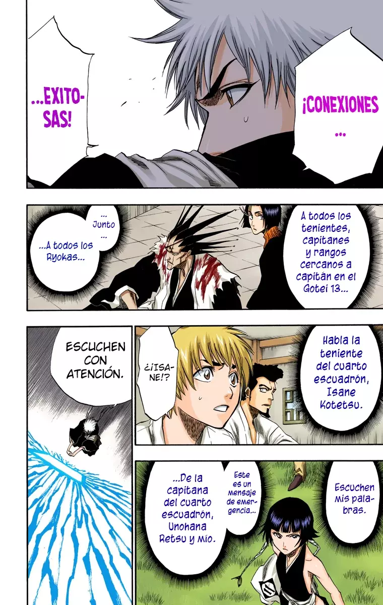 Bleach (Color) capítulo 172, página 10