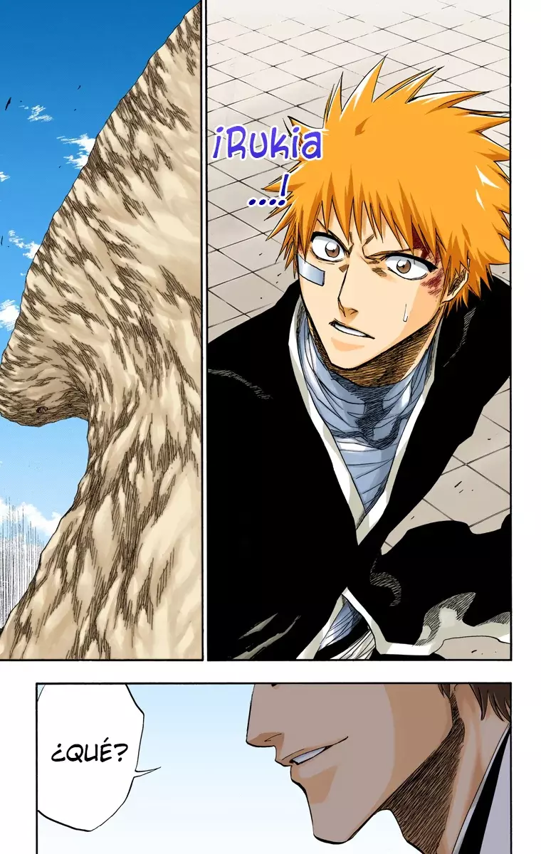 Bleach (Color) capítulo 172, página 17