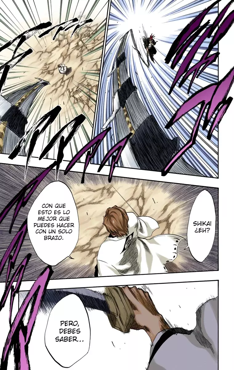 Bleach (Color) capítulo 173, página 10