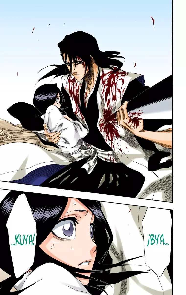 Bleach (Color) capítulo 176, página 26