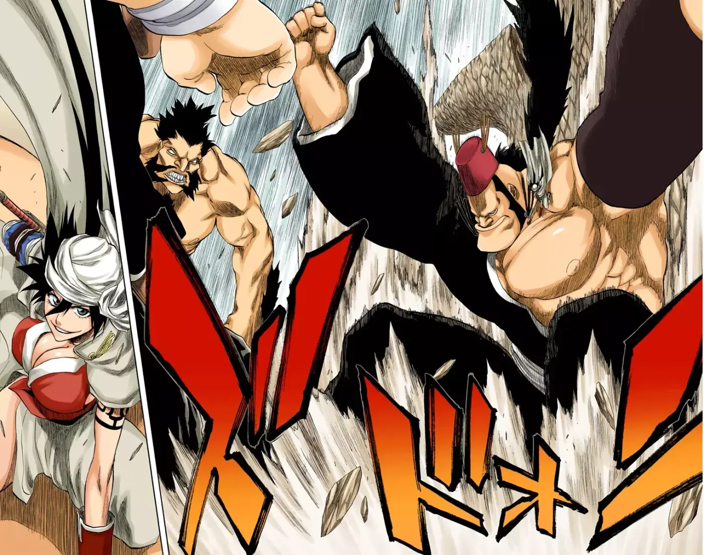Bleach (Color) capítulo 177, página 11
