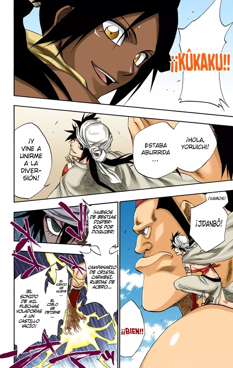 Bleach (Color) capítulo 177, página 12