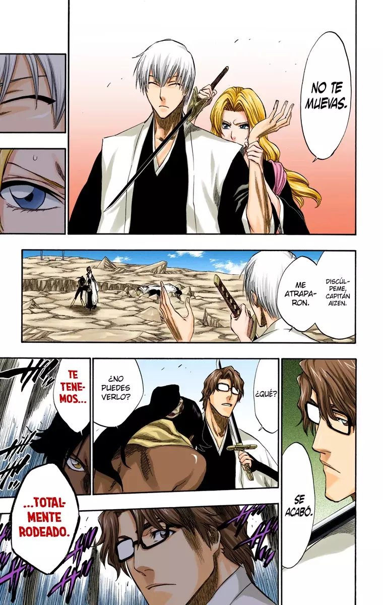 Bleach (Color) capítulo 177, página 15