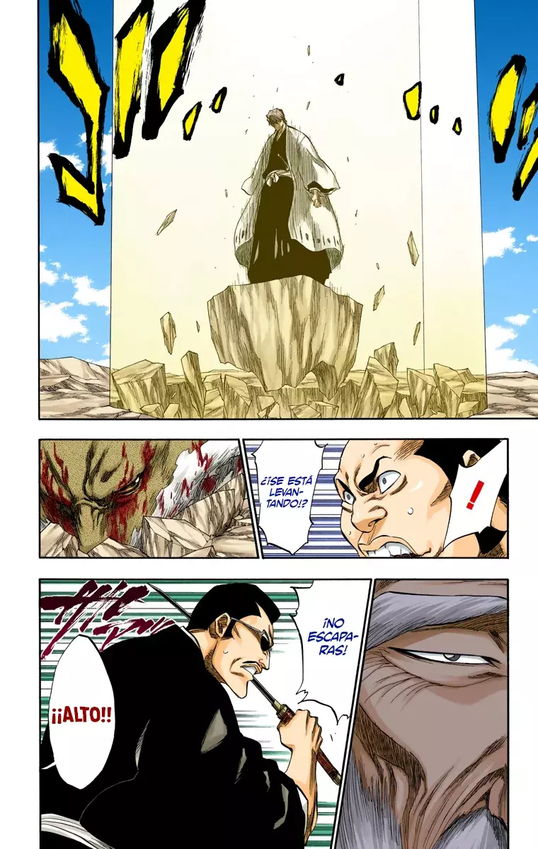 Bleach (Color) capítulo 178, página 10