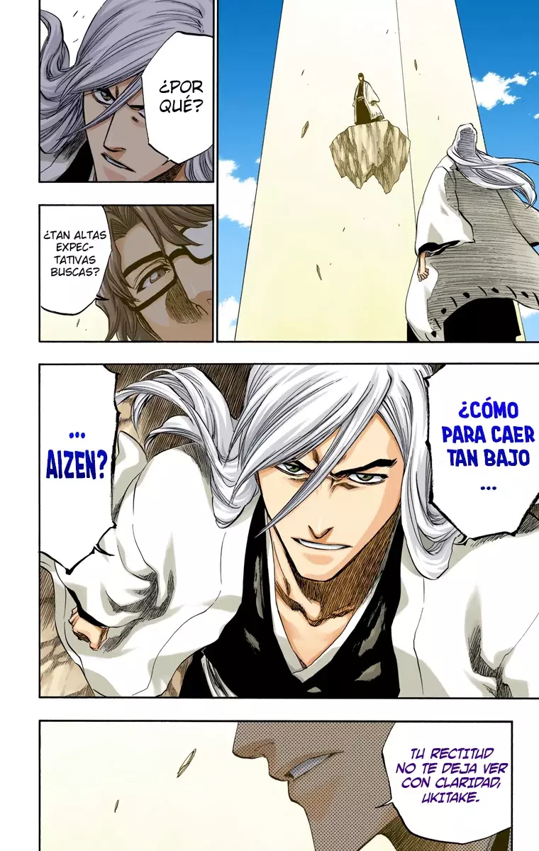 Bleach (Color) capítulo 178, página 14