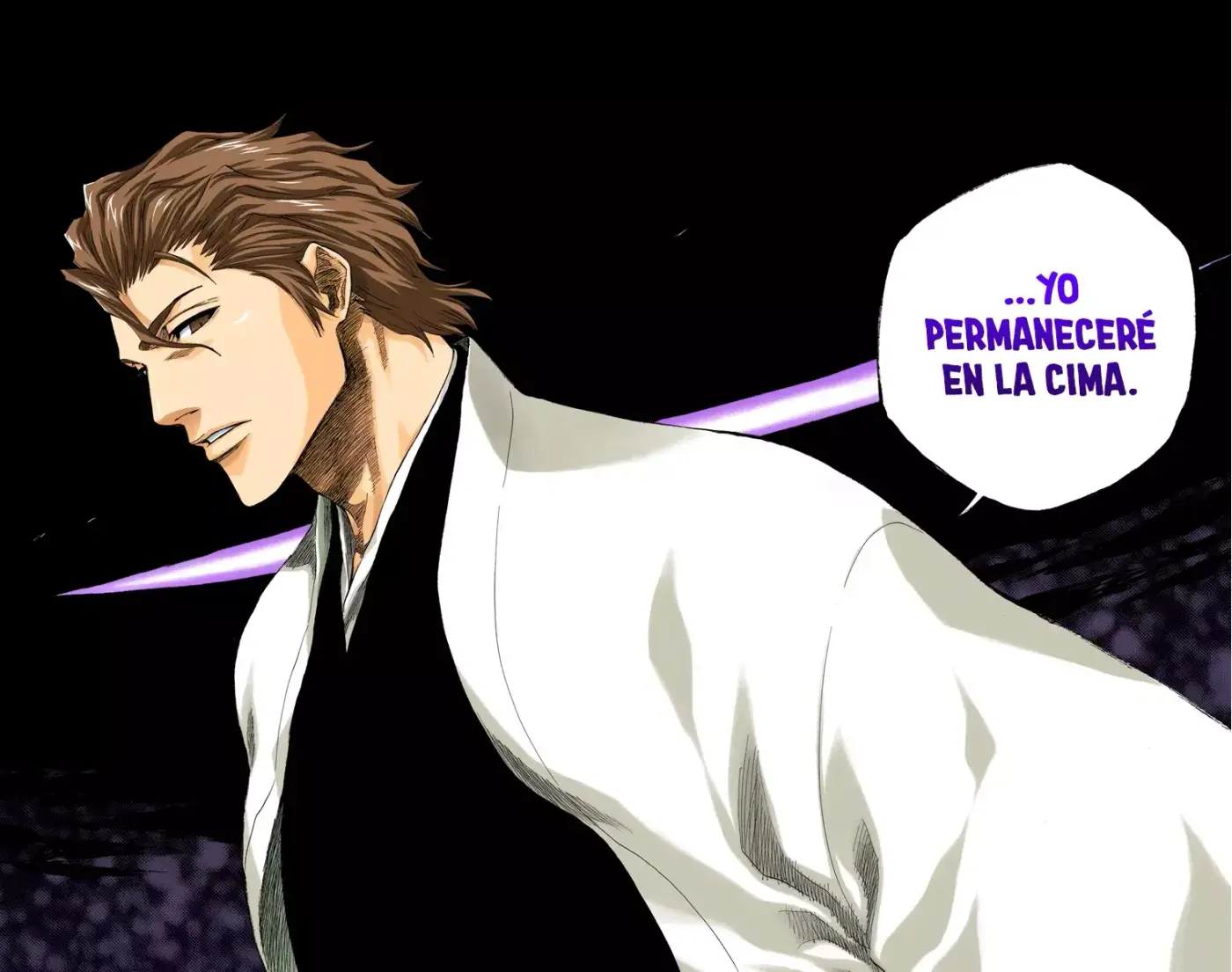 Bleach (Color) capítulo 178, página 16
