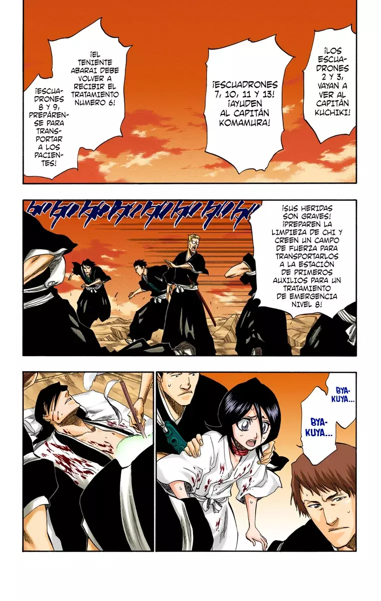 Bleach (Color) capítulo 179, página 10