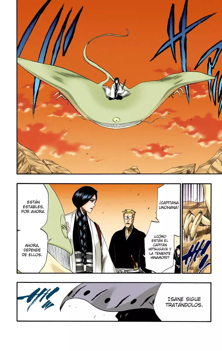 Bleach (Color) capítulo 179, página 13