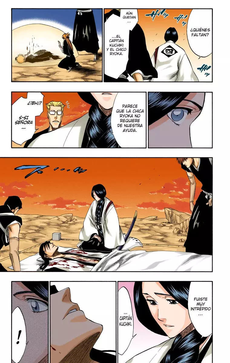 Bleach (Color) capítulo 179, página 14