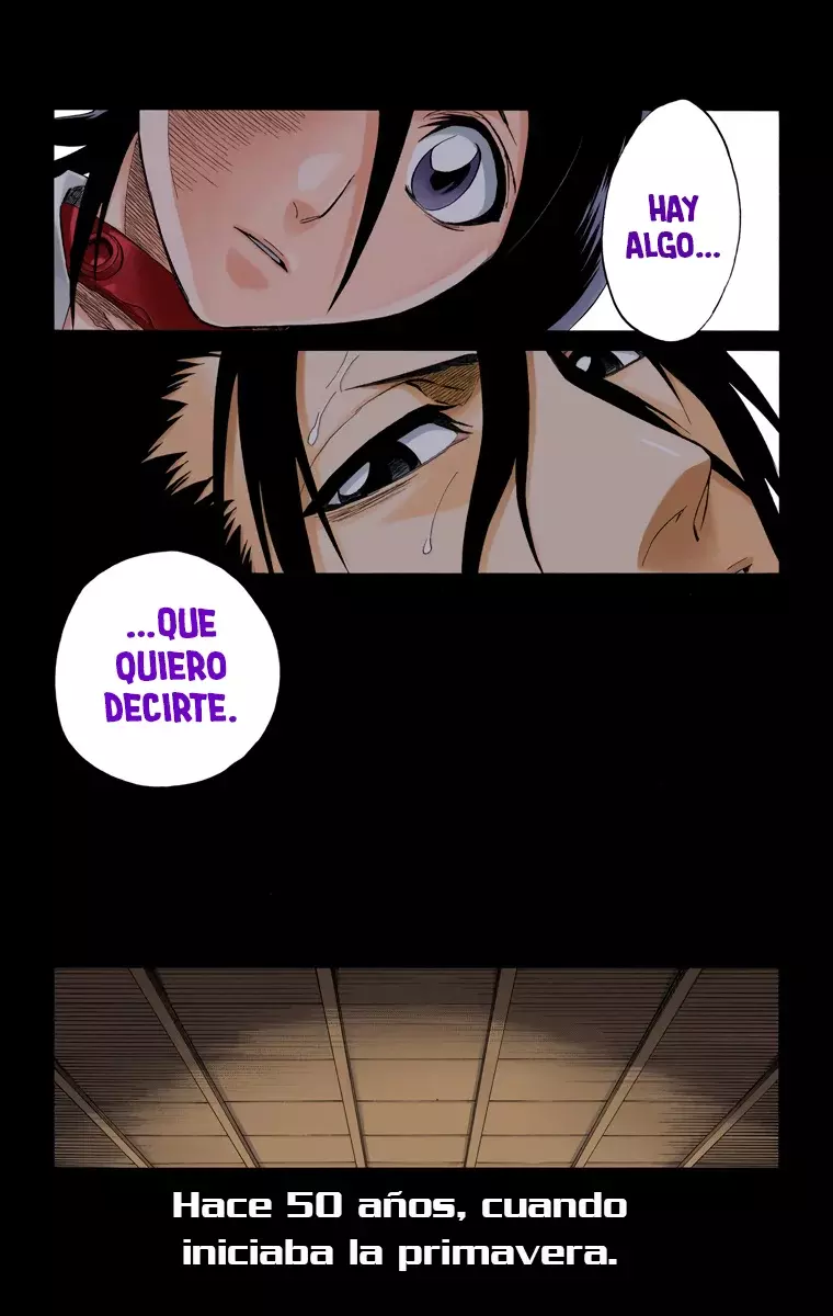 Bleach (Color) capítulo 179, página 16