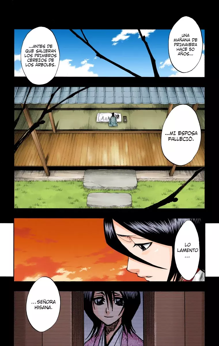 Bleach (Color) capítulo 179, página 17