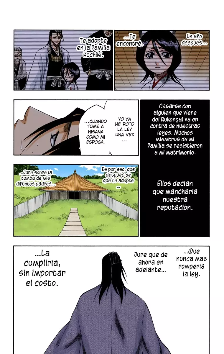 Bleach (Color) capítulo 179, página 22