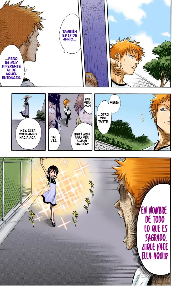 Bleach (Color) capítulo 18, página 9