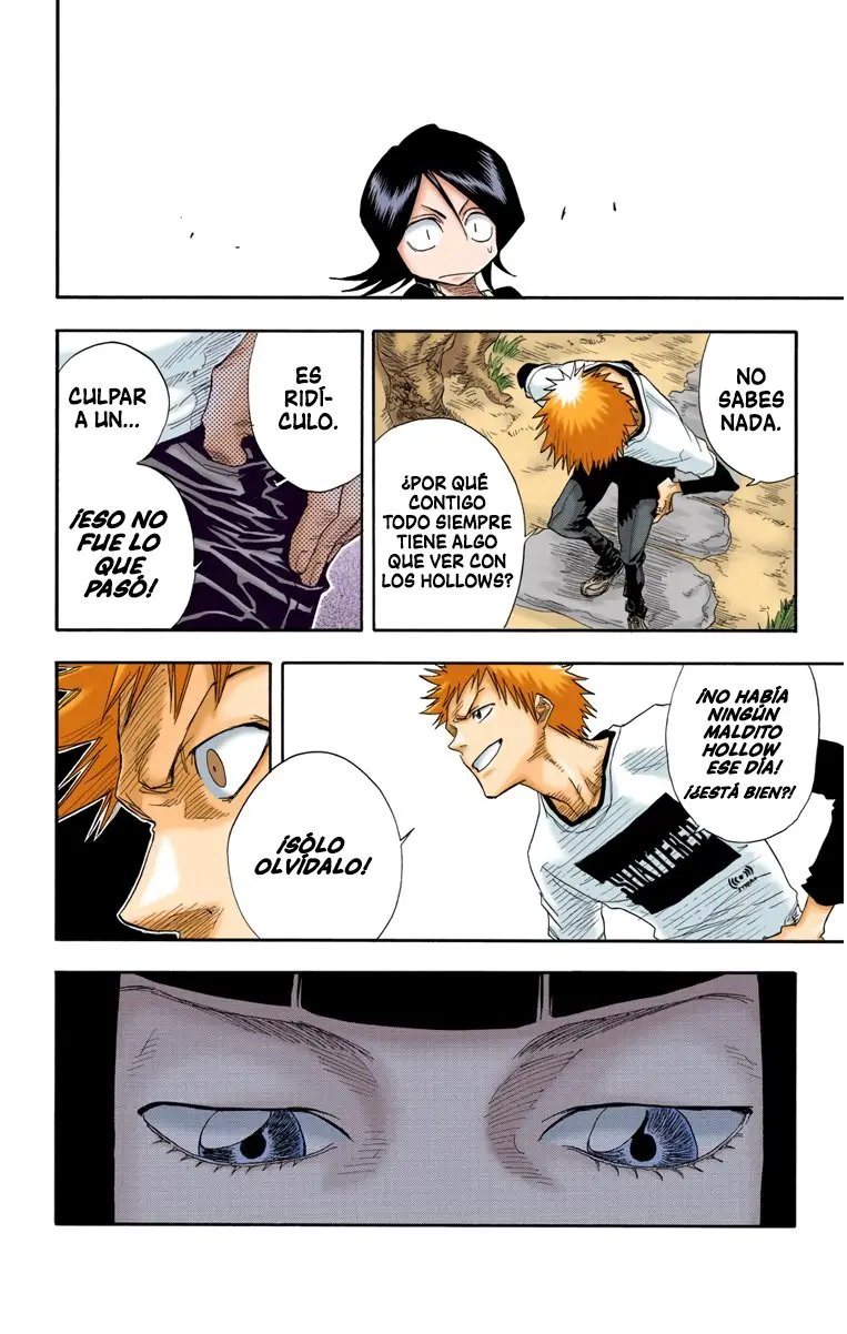 Bleach (Color) capítulo 18, página 14
