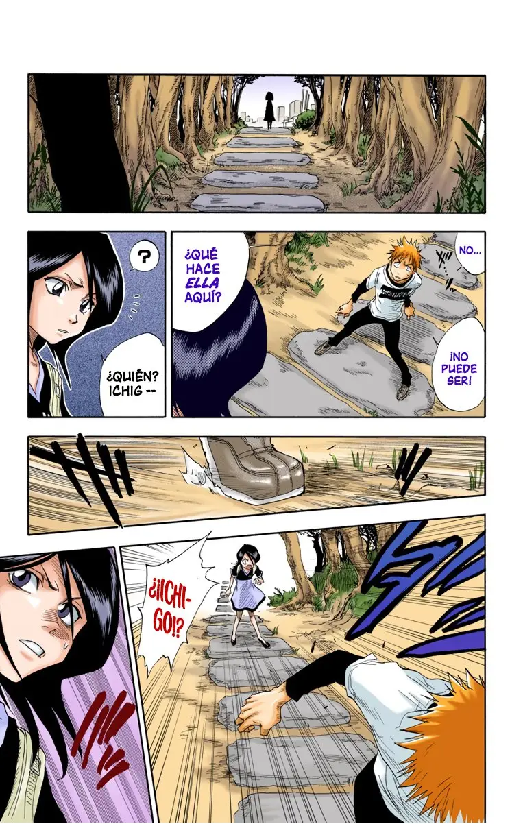 Bleach (Color) capítulo 18, página 15