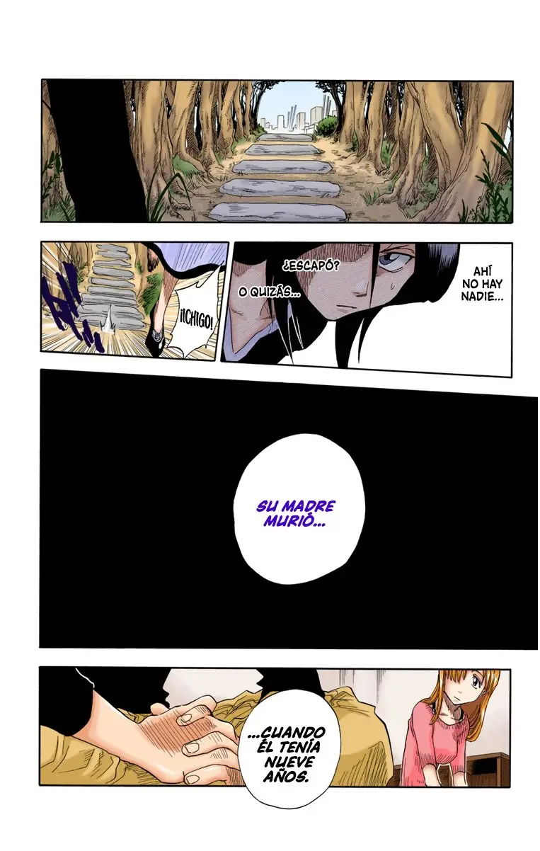 Bleach (Color) capítulo 18, página 16