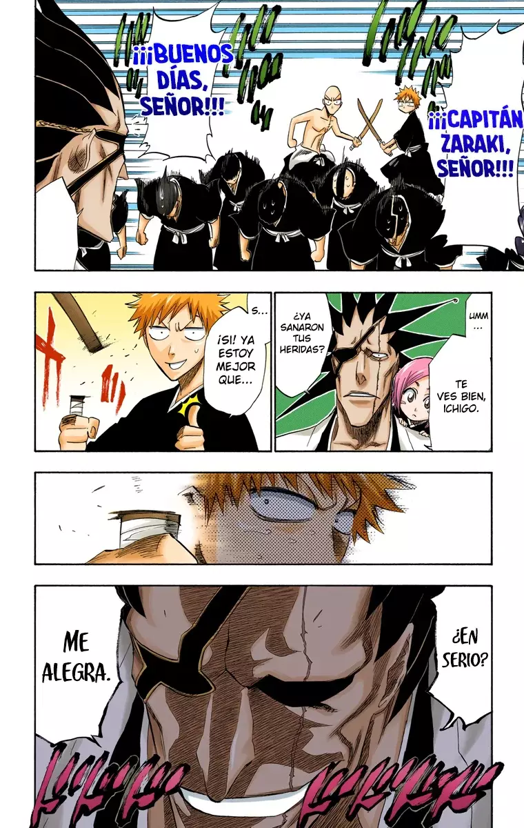 Bleach (Color) capítulo 180, página 11