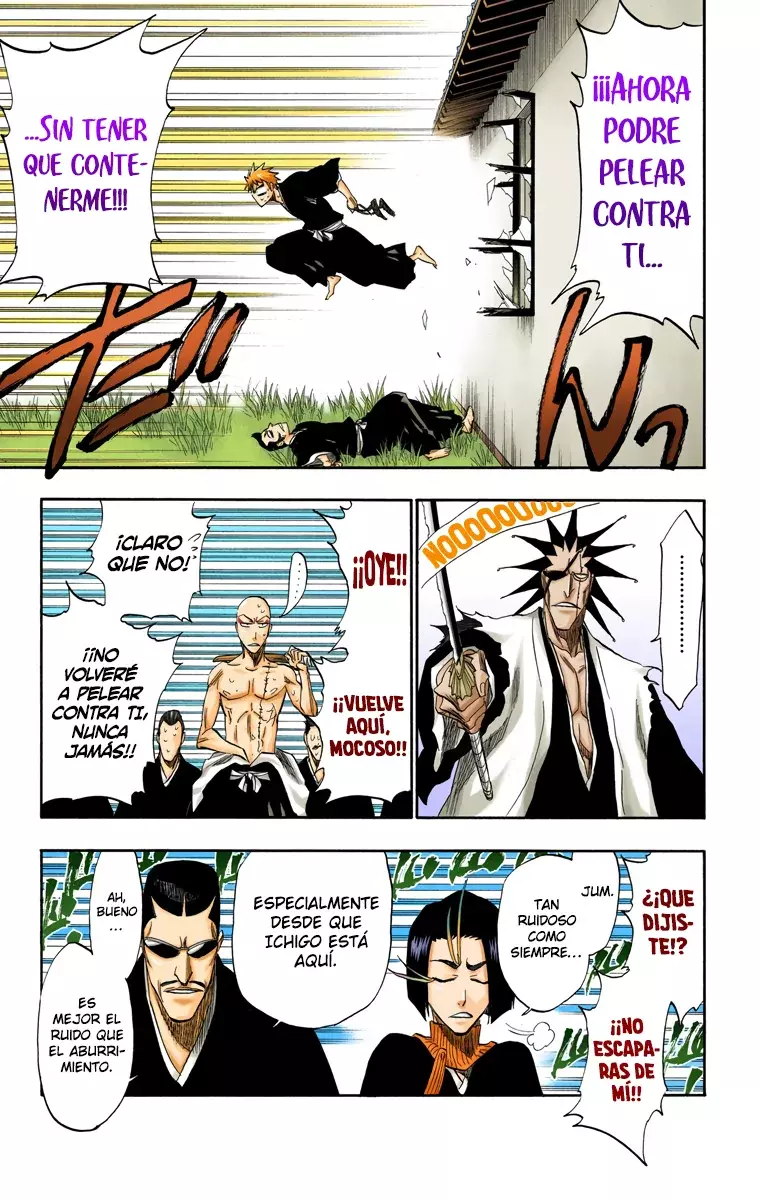 Bleach (Color) capítulo 180, página 12