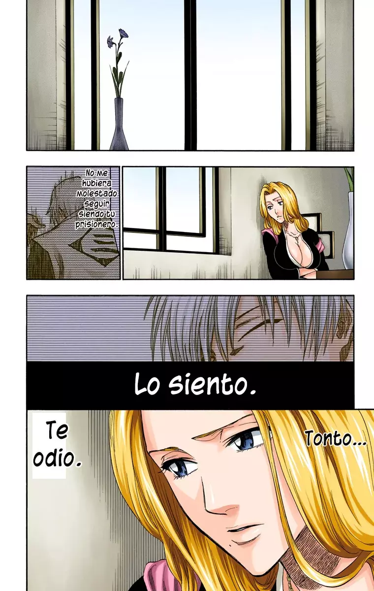 Bleach (Color) capítulo 180, página 15