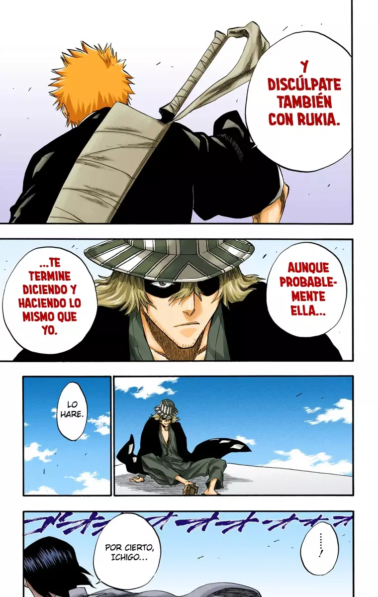 Bleach (Color) capítulo 182, página 13