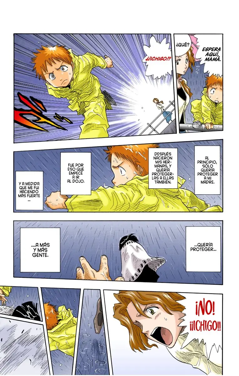 Bleach (Color) capítulo 19, página 14