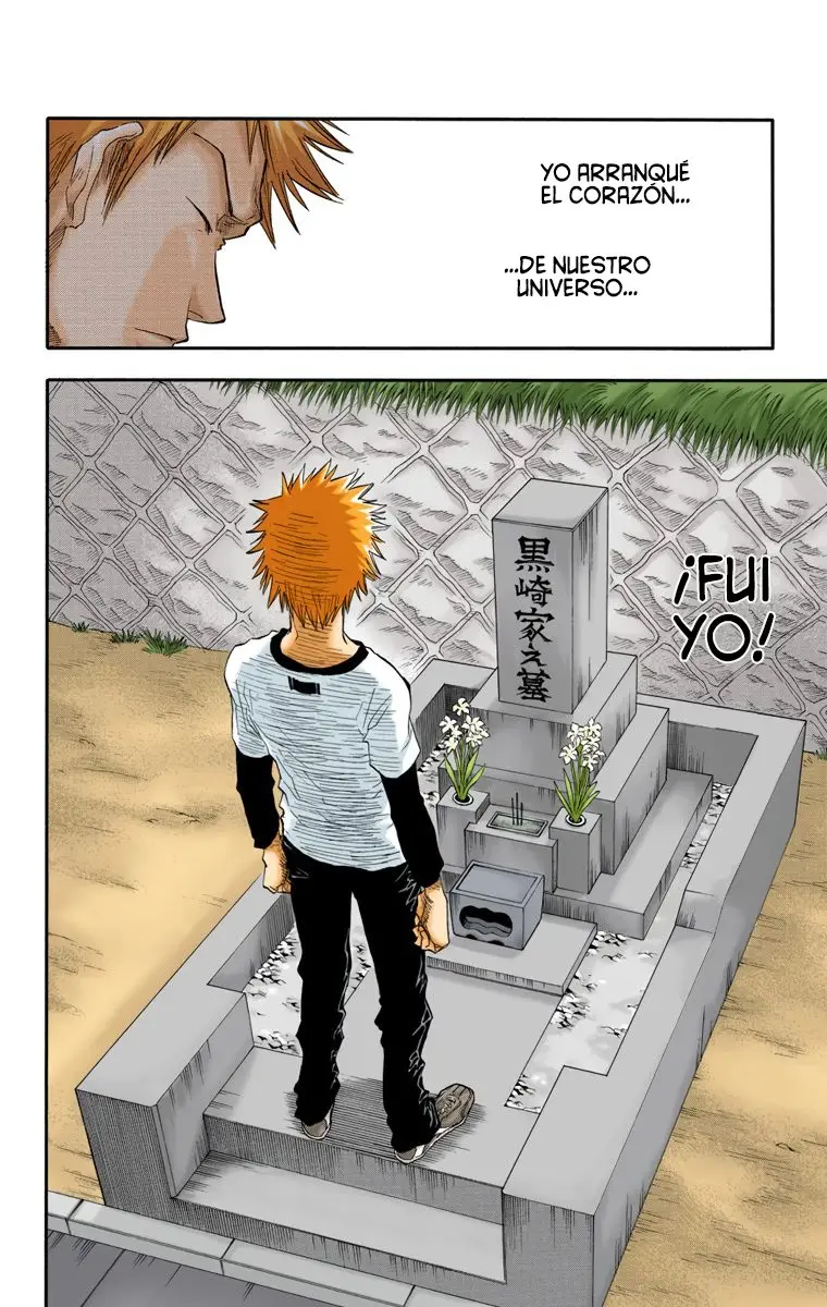 Bleach (Color) capítulo 19, página 17