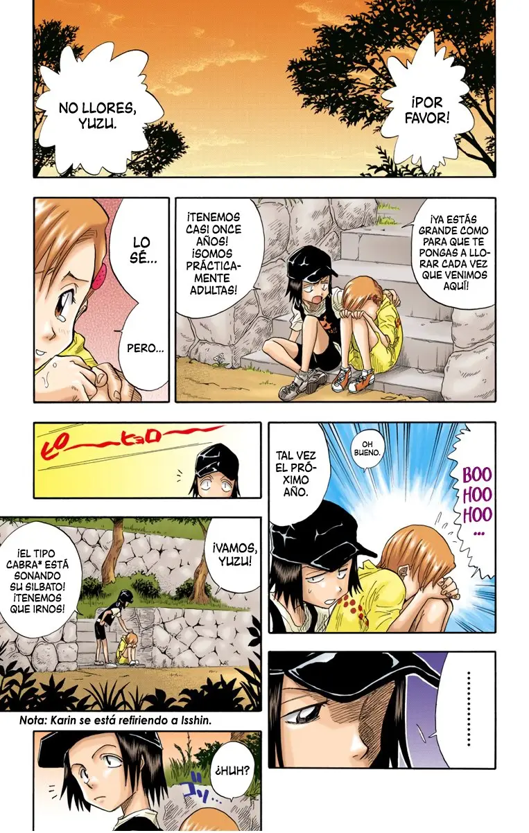 Bleach (Color) capítulo 19, página 18