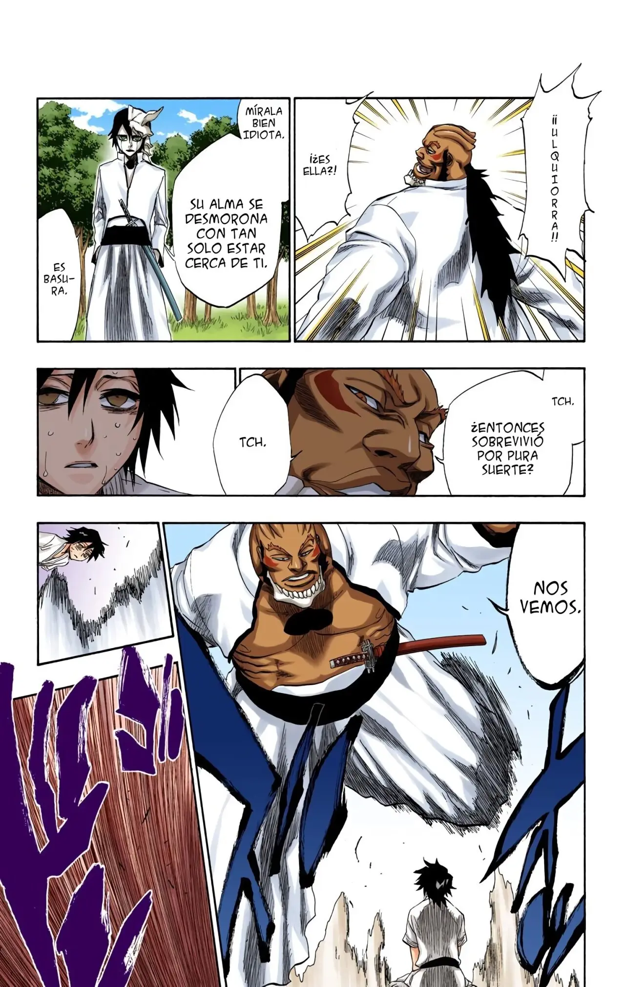 Bleach (Color) capítulo 191, página 13