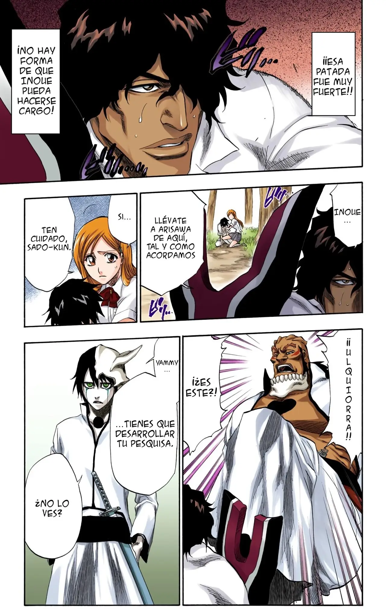 Bleach (Color) capítulo 191, página 15