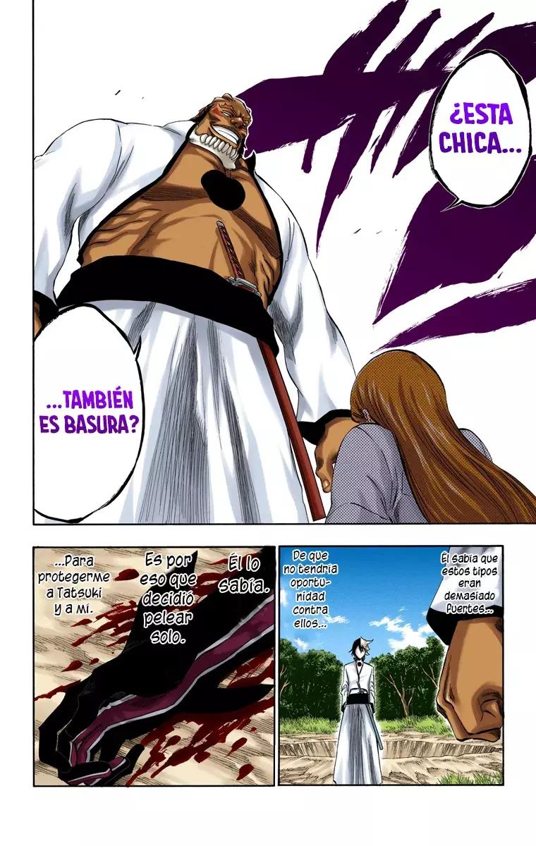 Bleach (Color) capítulo 192, página 5