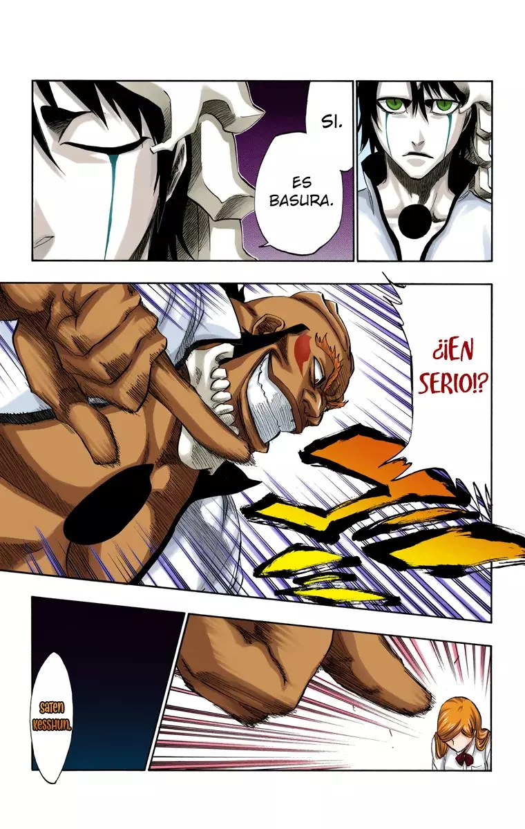 Bleach (Color) capítulo 192, página 6
