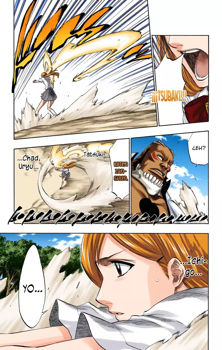Bleach (Color) capítulo 192, página 12