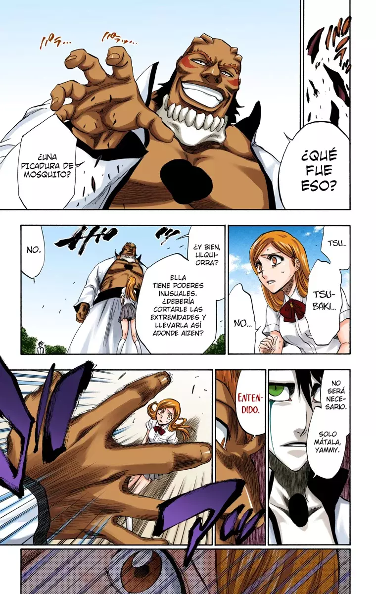Bleach (Color) capítulo 192, página 16