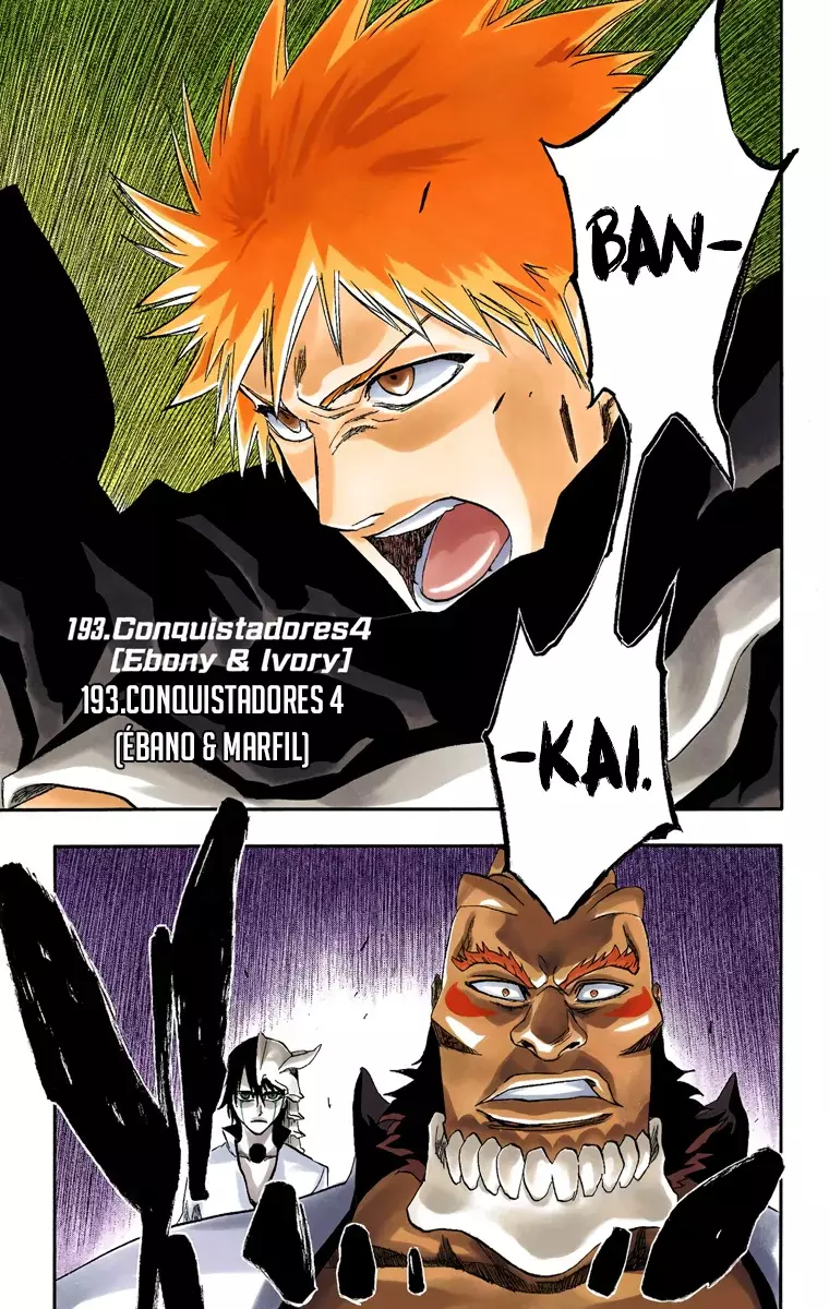 Bleach (Color) capítulo 193, página 2