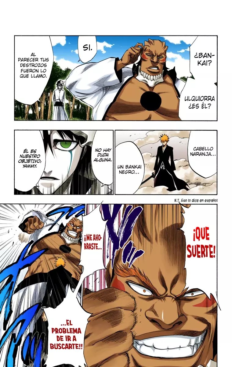 Bleach (Color) capítulo 193, página 9