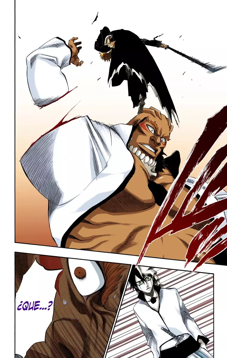 Bleach (Color) capítulo 193, página 12