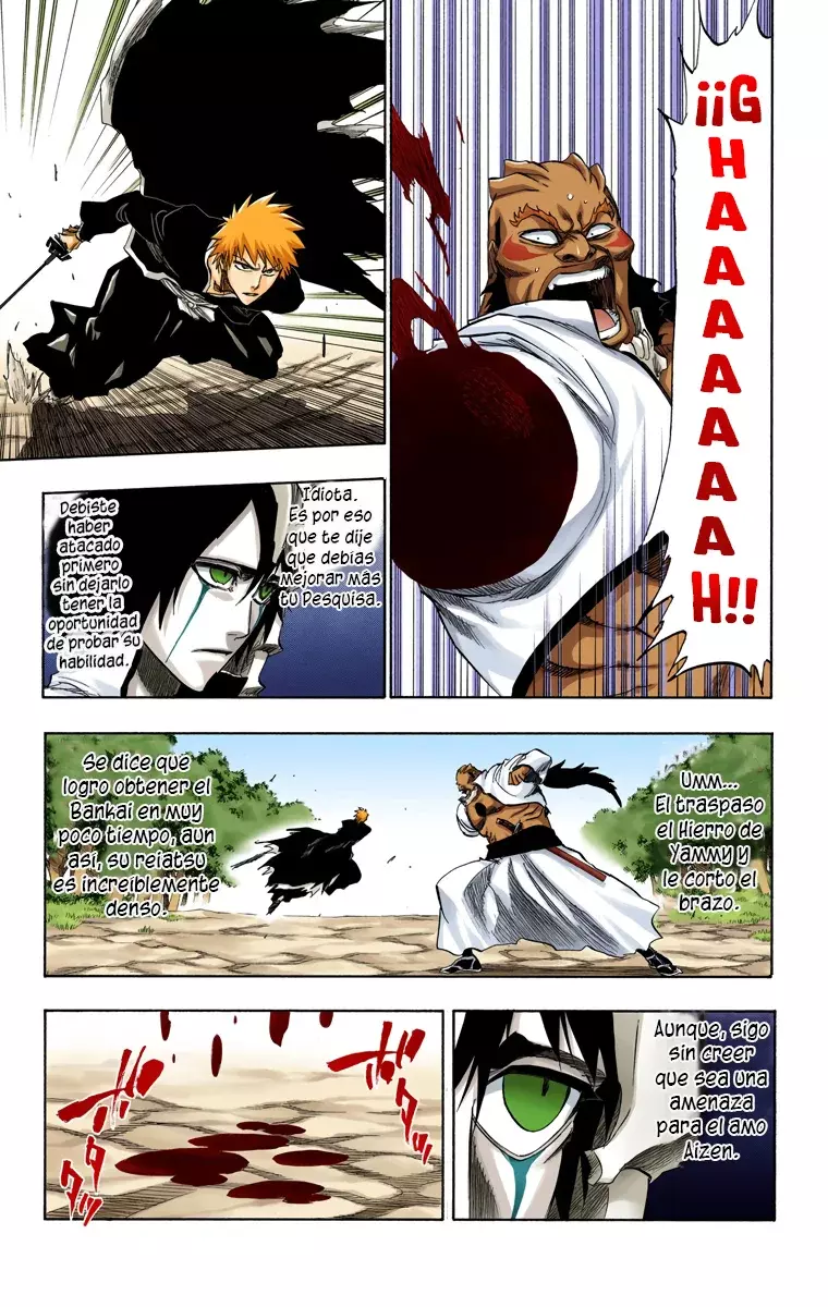 Bleach (Color) capítulo 193, página 13