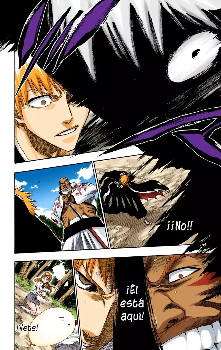 Bleach (Color) capítulo 193, página 16