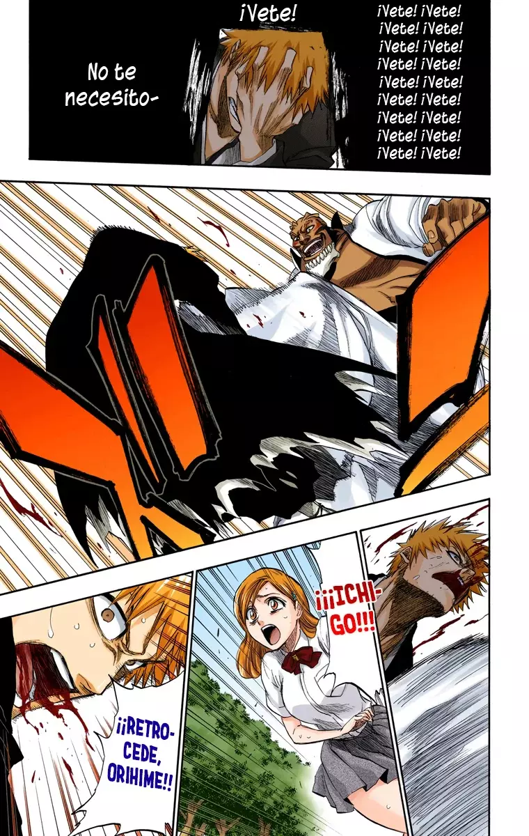Bleach (Color) capítulo 193, página 17