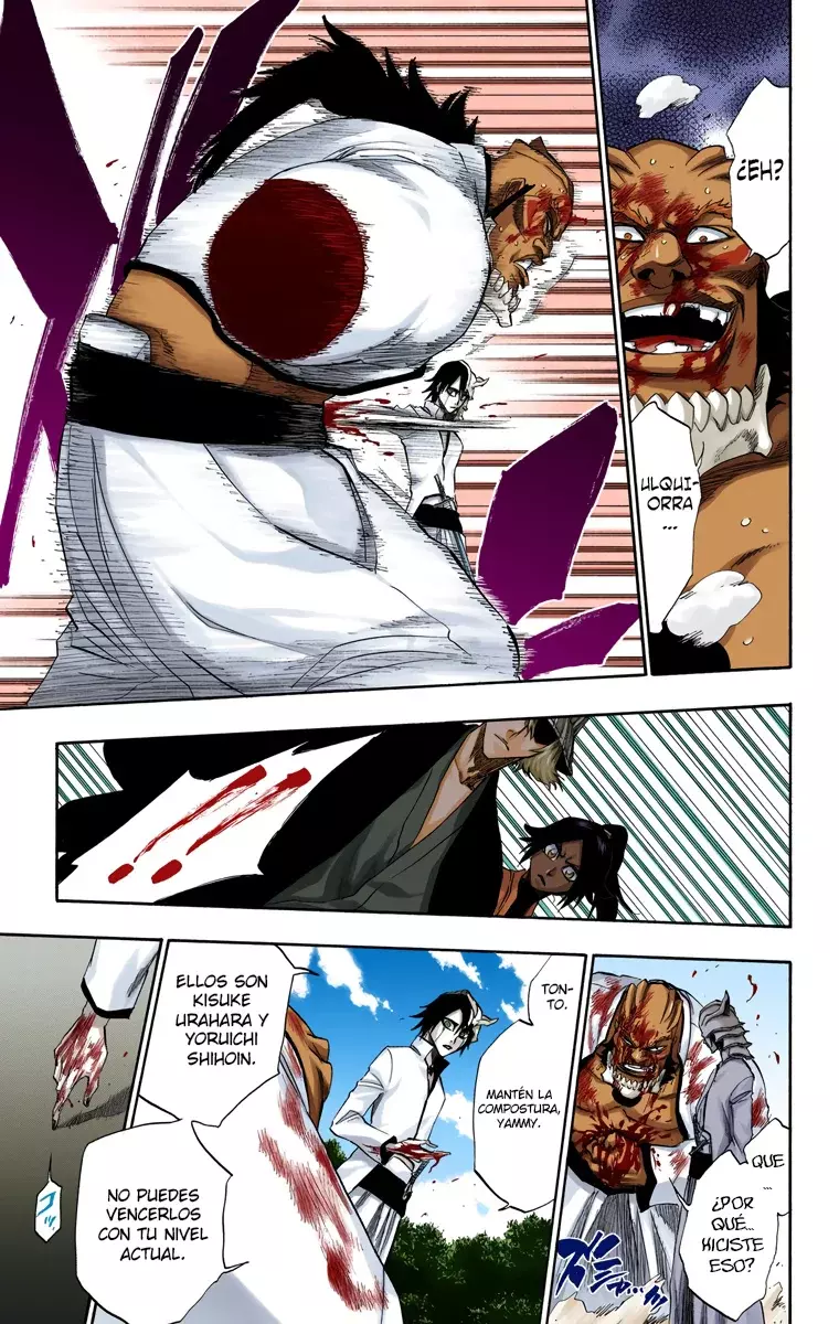 Bleach (Color) capítulo 194, página 16