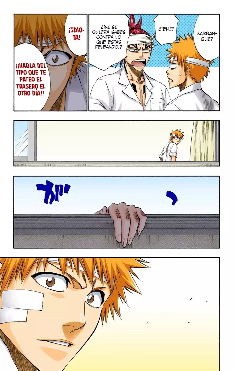 Bleach (Color) capítulo 195, página 15