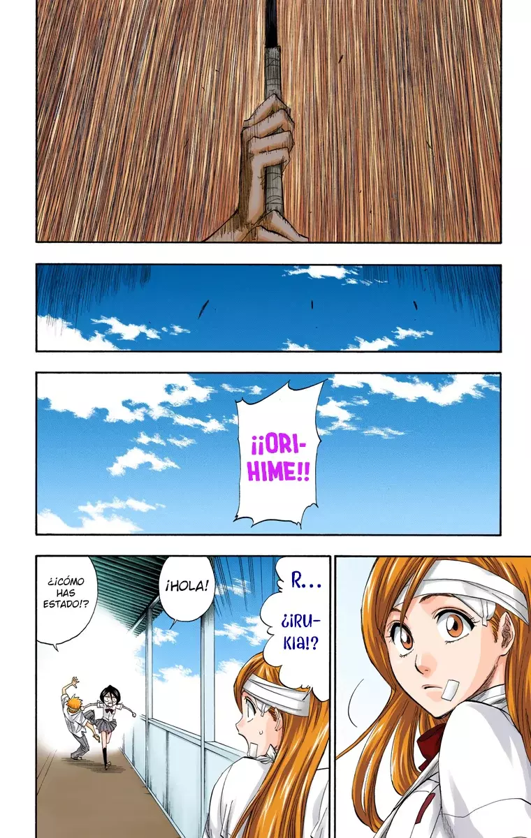 Bleach (Color) capítulo 196, página 17