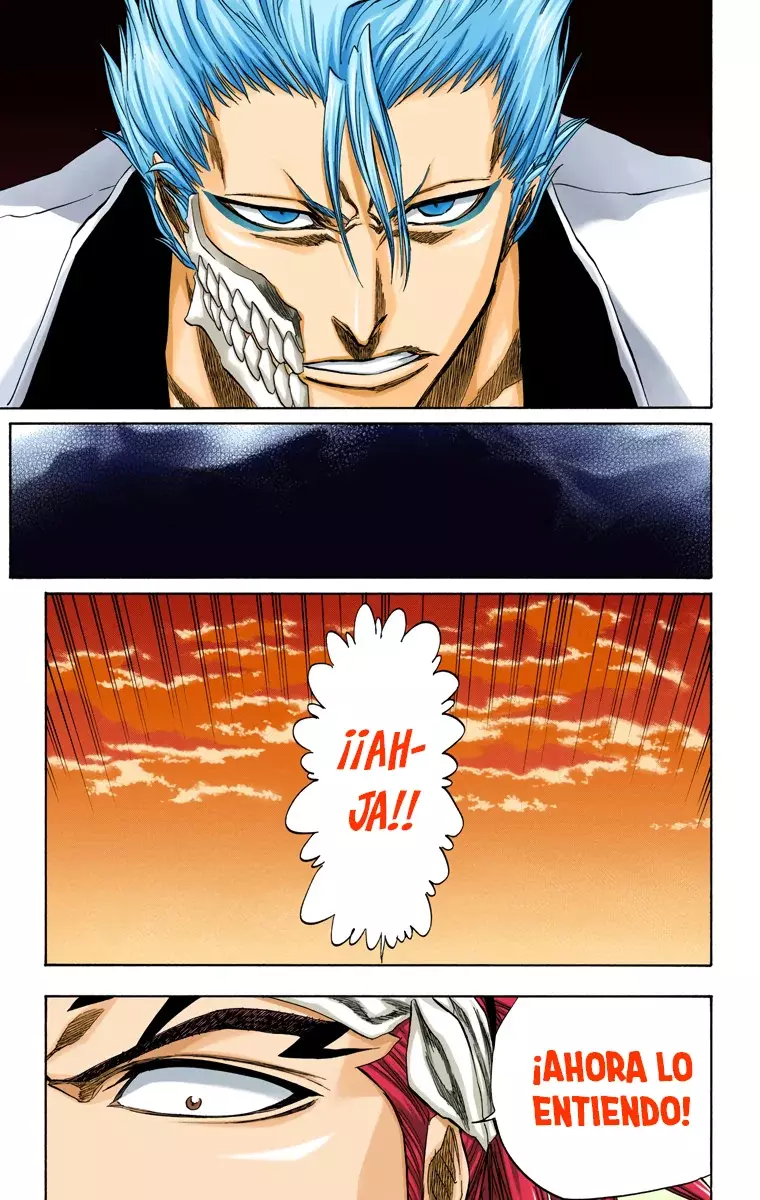 Bleach (Color) capítulo 198, página 14