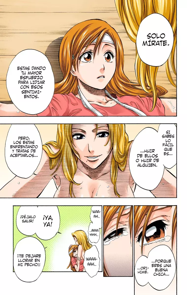 Bleach (Color) capítulo 199, página 14