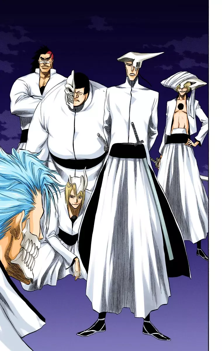 Bleach (Color) capítulo 199, página 16