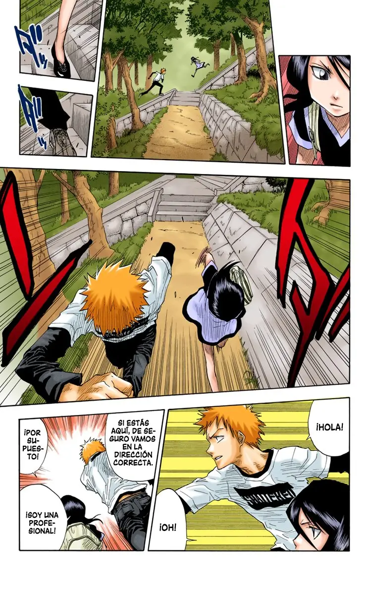 Bleach (Color) capítulo 20, página 10